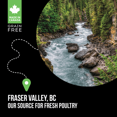 Nutrience Grain Free Puppy Food SubZero Fraser Valley - 2.27 Kg - Dog Food - Nutrience Pet Food - PetMax Canada