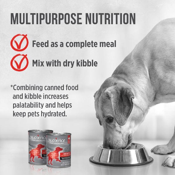 Nutrience Infusion Canned Adult Pâté with Canadian Angus Beef Dog Food