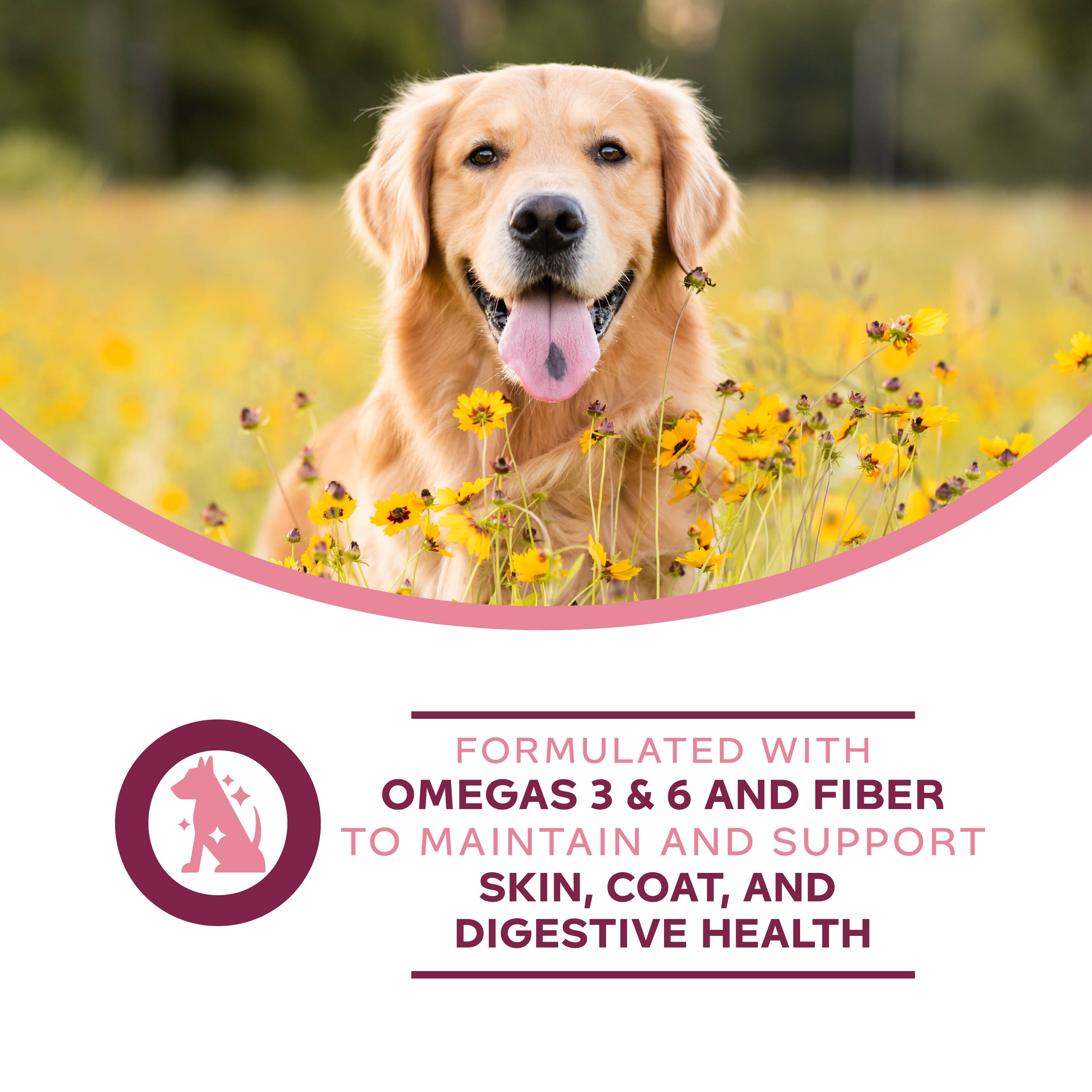 Fromm Nutritionals Sensitive Skin & Stomach Pâté Canned Dog Food - Canned Dog Food - Fromm - PetMax Canada