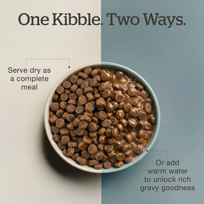 Now Fresh Good Gravy Chicken Coated in Bone Broth for Senior Cats - Serve dry or add warm water for gravy - PetMax Canada