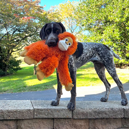 Tall Tails Plush Orangutan With Squeaker & Interior Rope Dog Toy