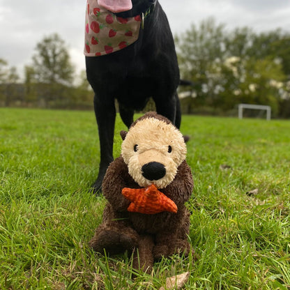 Tall Tails Plush Otter With Interior Rope Dog Toy
