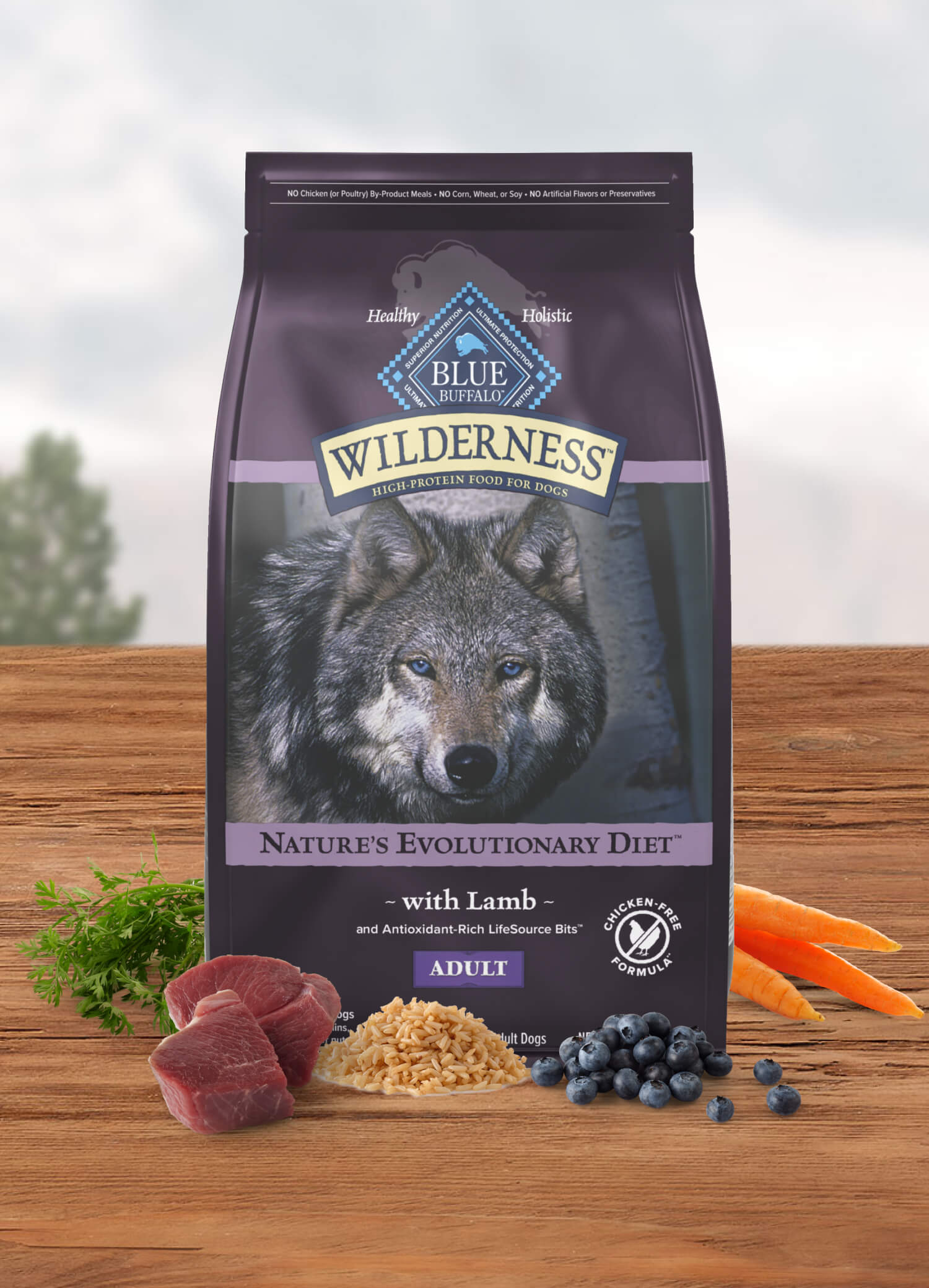 Blue Buffalo Wilderness Adult Chicken-Free Lamb Recipe Dry Dog Food - Mobile - Blue Buffalo - PetMax Canada