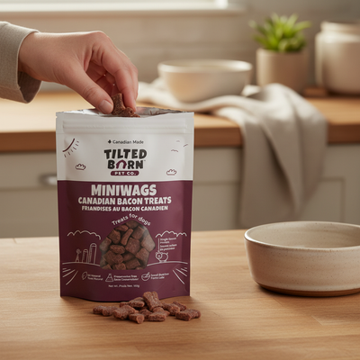 Person taking a dog treat from a bag of Tilted Born Pet Co. Miniwags Canadian Bacon Treats on a kitchen counter.
