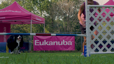 Eukanuba Made for Extraordinary - brand video