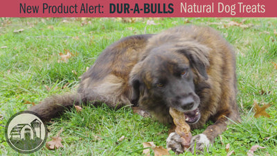 Red Barn Dura-A-Bulls Tire