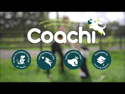 Coachi Chase & Crinkle Dog Dummy, Navy