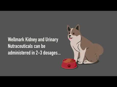 Wellmark Kidney Supplement