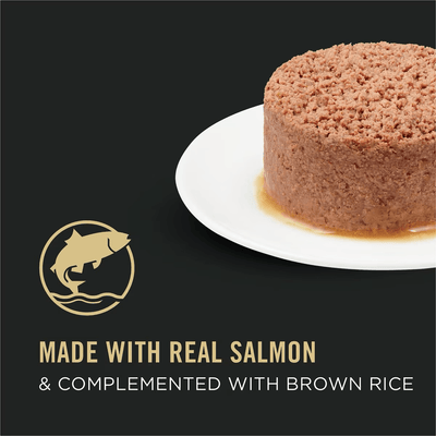 Purina Pro Plan Complete Essentials Adult Salmon & Rice Entrée in Sauce Wet Cat Food - 85g - Canned Cat Food - Purina Pro Plan - PetMax Canada