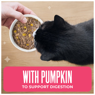 Tiki Cat Aloha Friends Tuna, Shrimp & Pumpkin Recipe in Broth Wet Cat Food - Product Highlights 2 - Tiki Cat - PetMax Canada