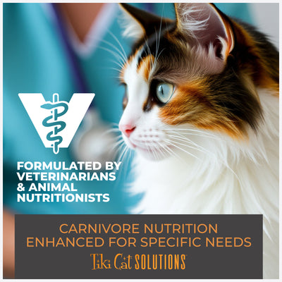 Tiki Cat Special Mousse Skin & Coat Salmon Recipe in Broth Wet Cat Food - Product Highlights 6 - Tiki Cat - PetMax Canada