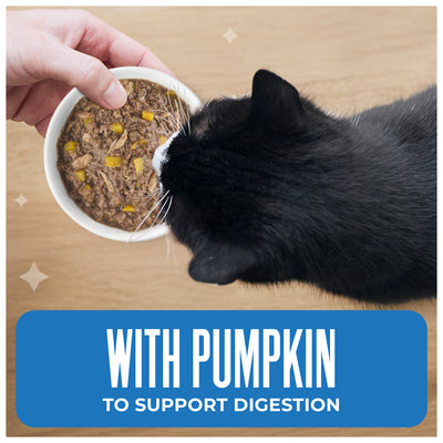 Tiki Cat Aloha Friends Tuna, Tilapia & Pumpkin Recipe in Broth Wet Cat Food - Product Highlights 2 - Tiki Cat - PetMax Canada