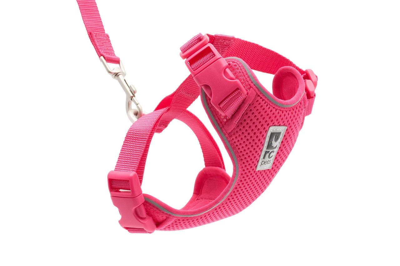 RC Pets Adventure Kitty Harness Azalea - Small - Cat Harness - RC Pet Products - PetMax Canada