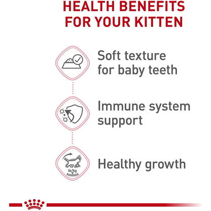 Royal Canin Canned Kitten Food Instinctive Thin Slices In Gravy - 85g - Canned Cat Food - Royal Canin - PetMax Canada