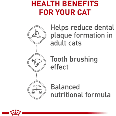 Royal Canin Dental Care Dry Cat Food - 1.36 Kg - Cat Food - Royal Canin - PetMax Canada