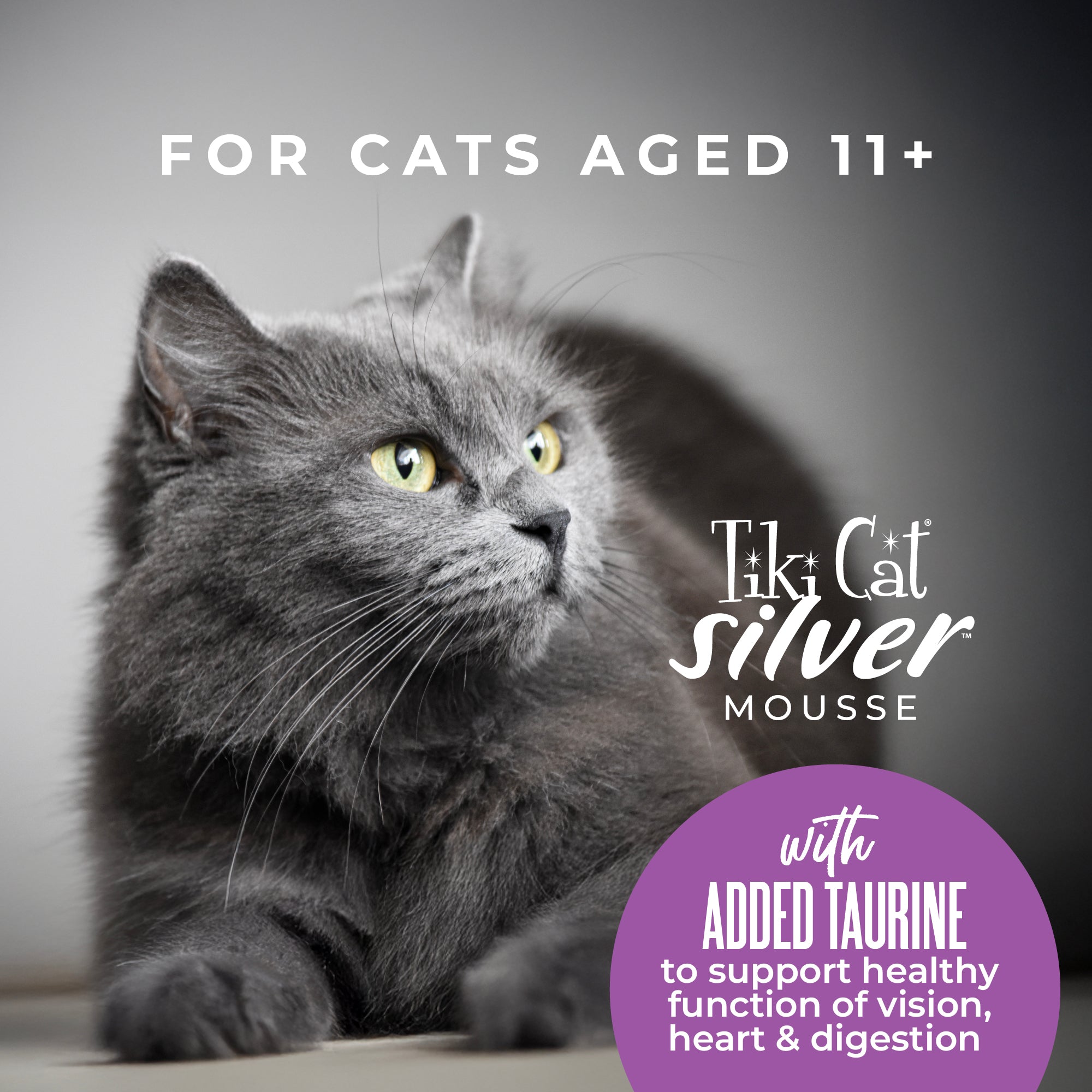Tiki Cat Silver Mousse with Tuna, Mackerel & Pumpkin in Broth Wet Cat Food - Product Highlights 4 - Tiki Cat - PetMax Canada