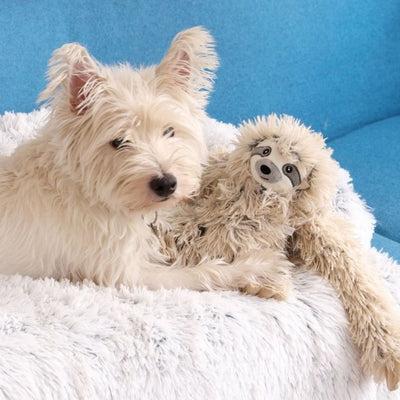 Tall Tails Plush Sloth With Squeaker & Interior Rope Dog Toy