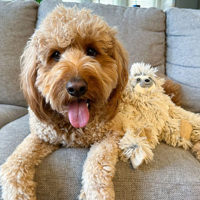 Tall Tails Plush Sloth With Squeaker & Interior Rope Dog Toy