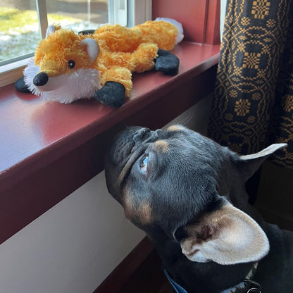 Tall Tails Plush Stuffless Fox With Interior Rope Dog Toy