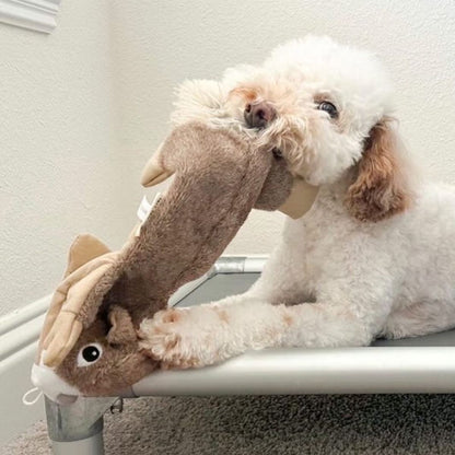 Tall Tails Plush Stuffless Squirrel With Squeaker, Crinkle, & Rope Dog Toy