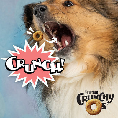 Fromm Crunchy O's CranLiver Kaboom Dog Treats - dog catching a crunchy treat - PetMax Canada