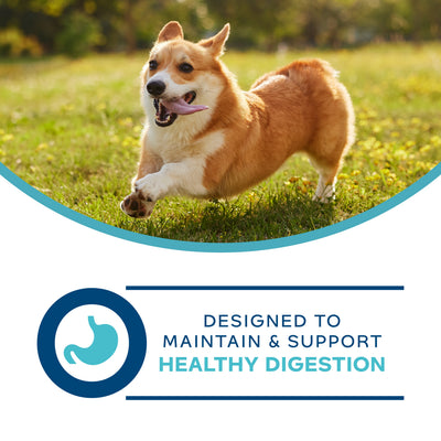 Fromm Nutritionals Digestive Support Low Fat Pâté Canned Dog Food - Designed to maintain and support healthy digestion - PetMax Canada