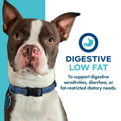 Fromm Nutritionals Digestive Support Low Fat Pâté Canned Dog Food - Supports digestive sensitivities and fat-restricted diets - PetMax Canada