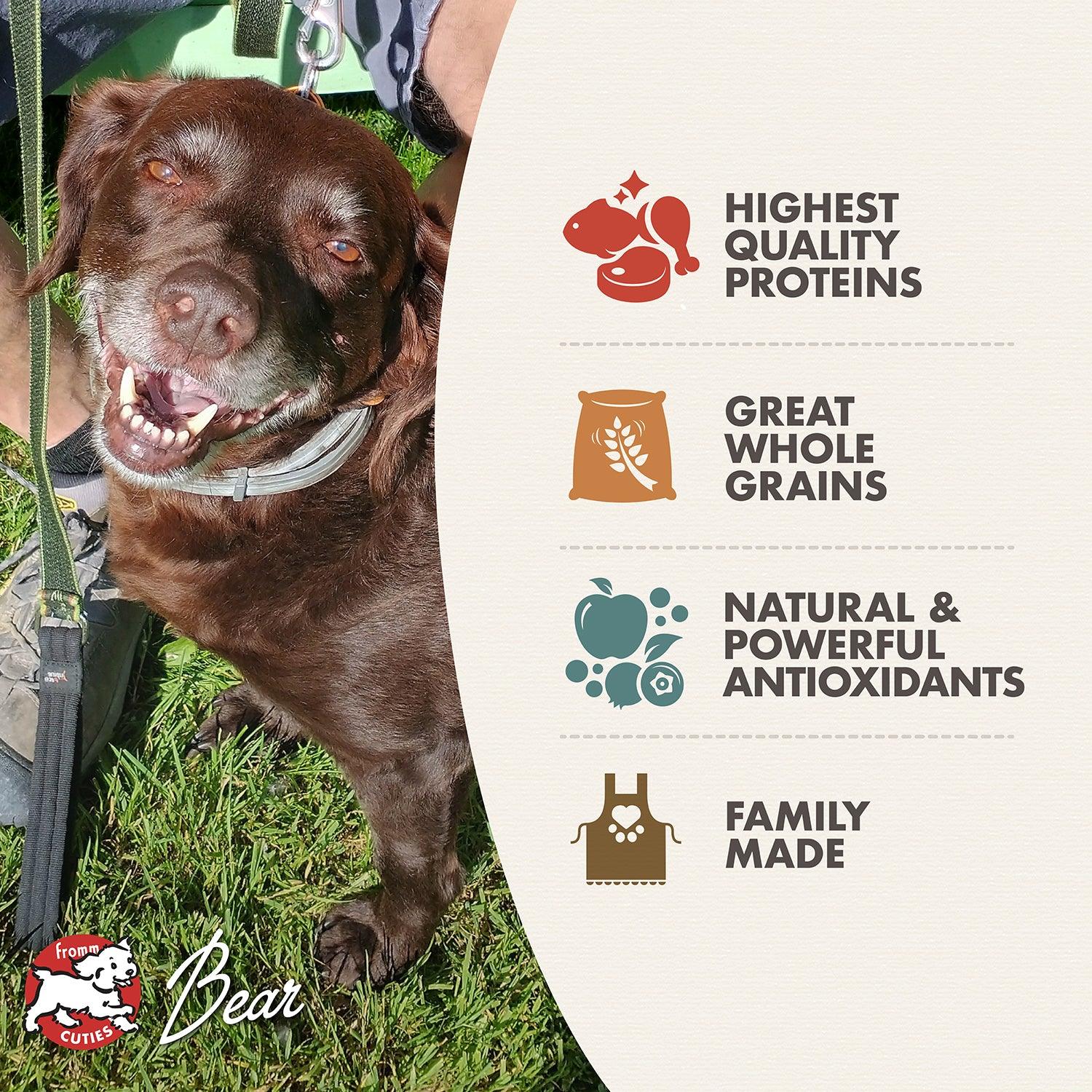 Fromm Classic Adult Dog Food - 2.25 Kg - Dog Food - Fromm - PetMax Canada