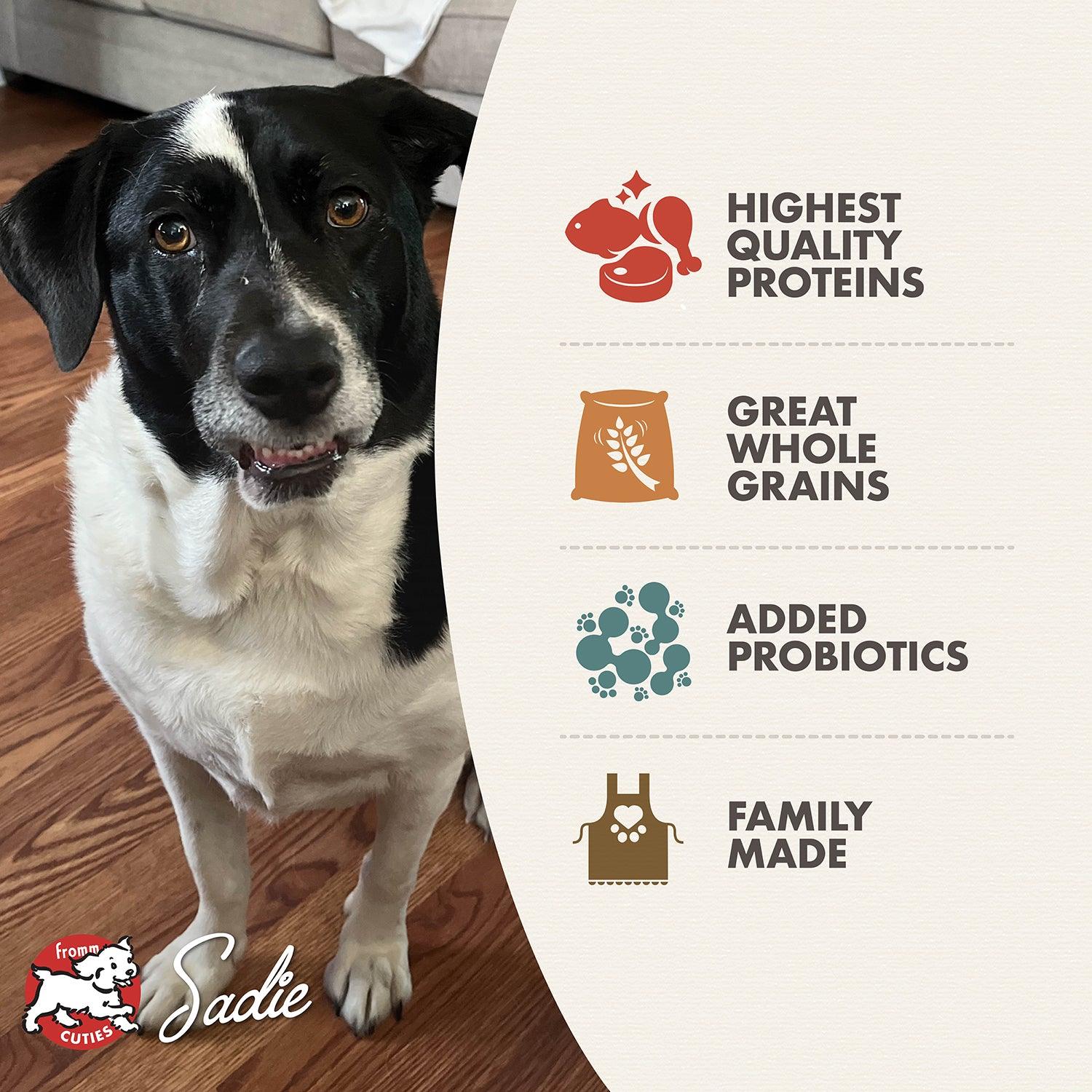 Fromm Classic Mature Dog Food - 13.6 Kg - Dog Food - Fromm - PetMax Canada