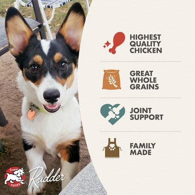 Fromm Classic Puppy Food - 2.25 Kg - Dog Food - Fromm - PetMax Canada