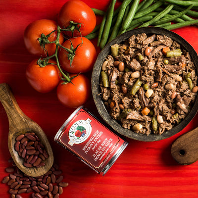 Fromm Four Star Dog Shredded Beef In Gravy