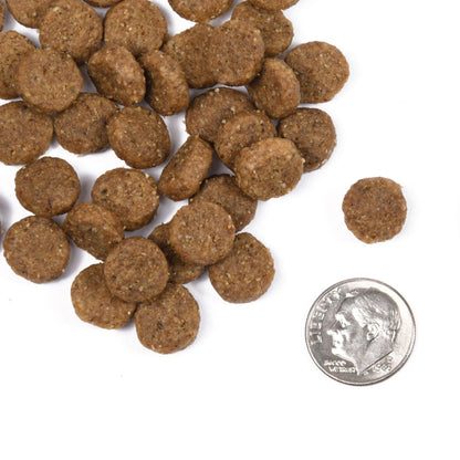 Fromm Classic Adult Dog Food - 2.25 Kg - Dog Food - Fromm - PetMax Canada