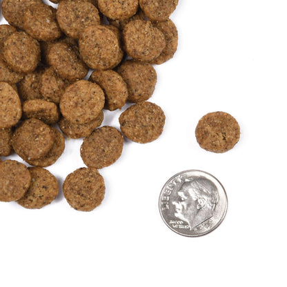 Fromm Classic Mature Dog Food - 13.6 Kg - Dog Food - Fromm - PetMax Canada