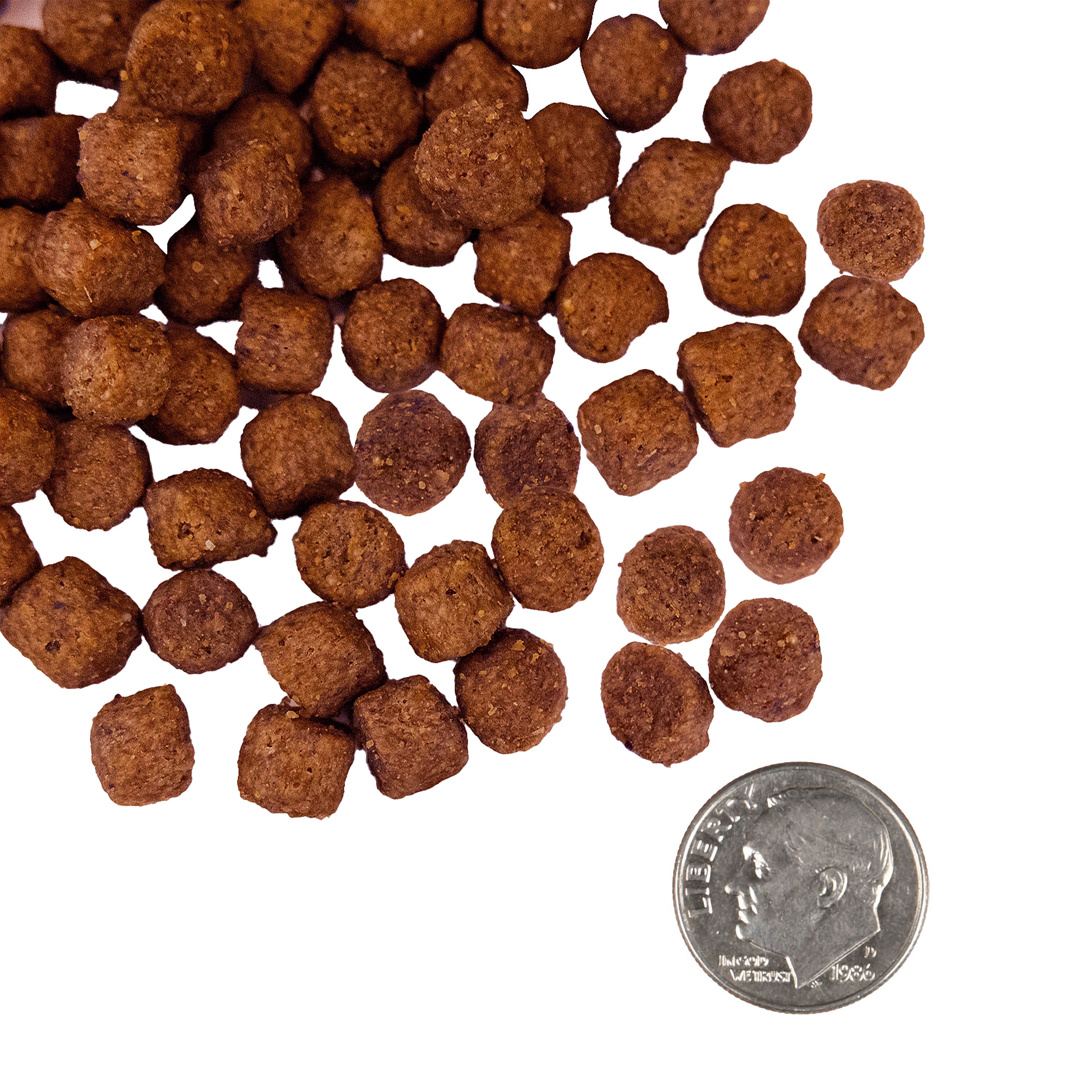 Fromm Nutritionals Sensitive Skin & Stomach Salmon & Whole Oats Dry Dog Food - Dog Food - Fromm - PetMax Canada