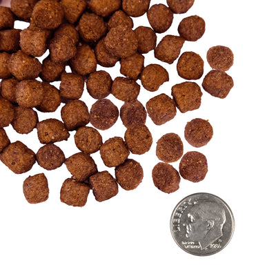 Fromm Nutritionals Sensitive Skin & Stomach Salmon & Whole Oats Dry Dog Food - Dog Food - Fromm - PetMax Canada