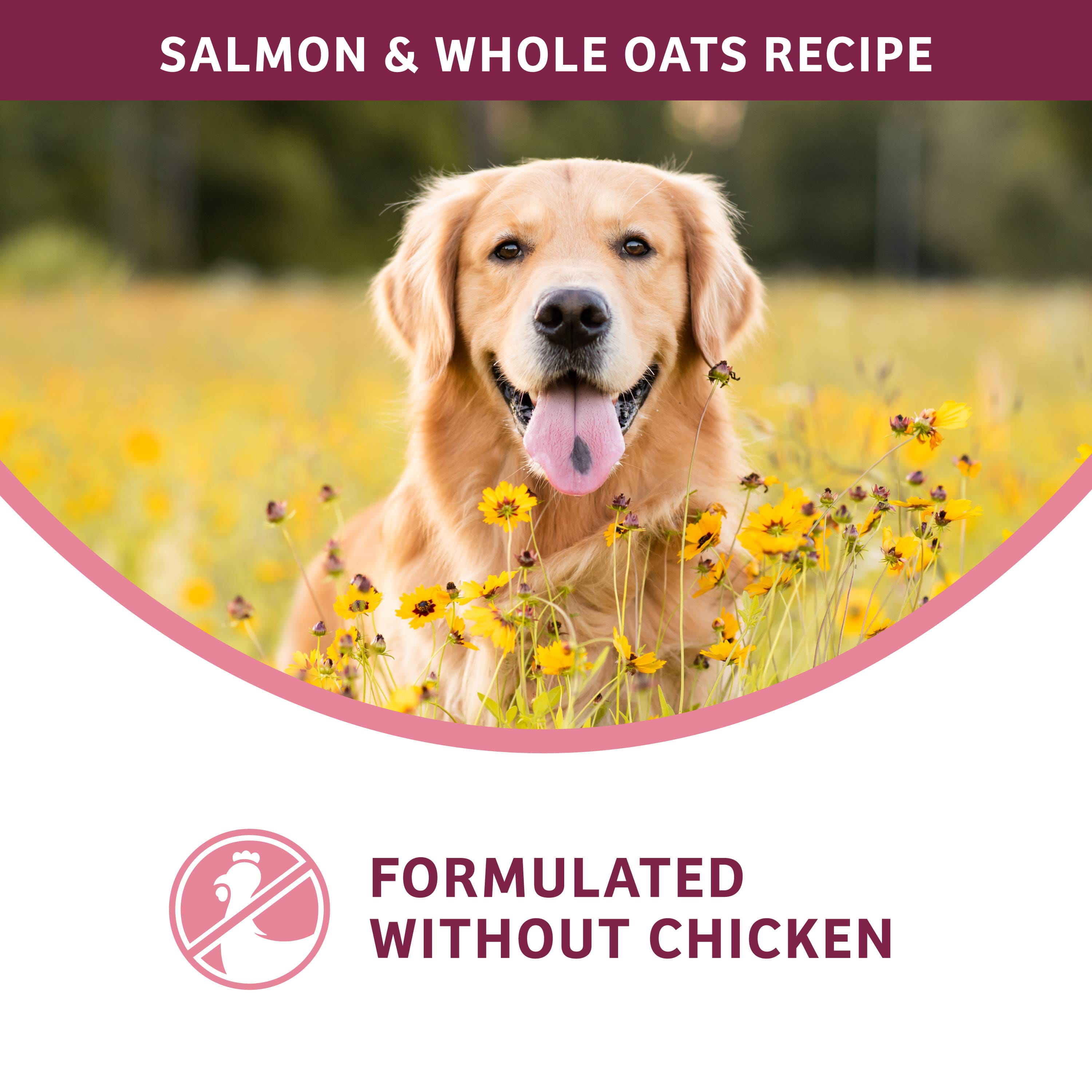 Fromm Nutritionals Sensitive Skin & Stomach Salmon & Whole Oats Dry Dog Food - Dog Food - Fromm - PetMax Canada