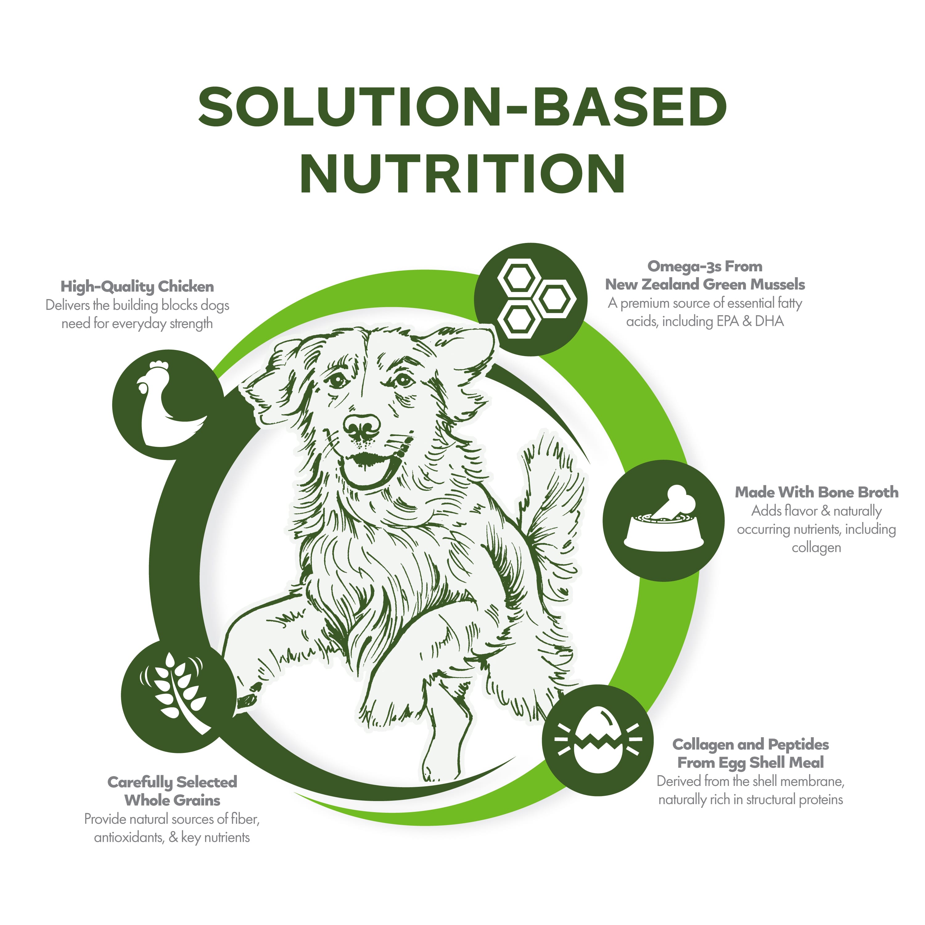 Fromm Nutritionals Mobility Chicken & Whole Oats Dry Dog Food - Dog Food - Fromm - PetMax Canada
