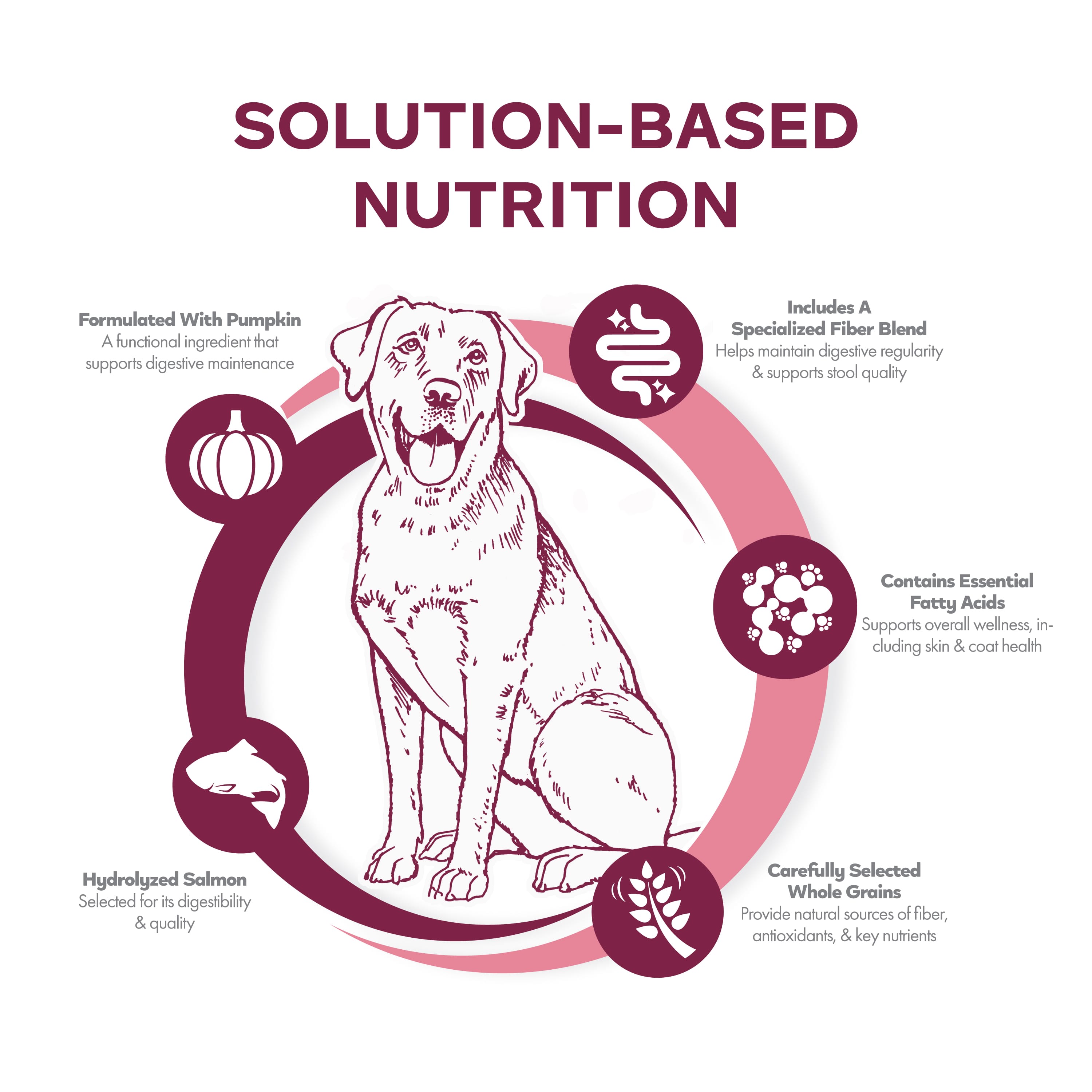 Fromm Nutritionals Sensitive Skin & Stomach Salmon & Whole Oats Dry Dog Food - Dog Food - Fromm - PetMax Canada