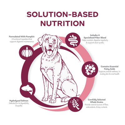 Fromm Nutritionals Sensitive Skin & Stomach Salmon & Whole Oats Dry Dog Food - Dog Food - Fromm - PetMax Canada