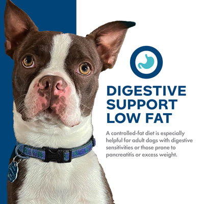 Fromm Nutritionals Digestive Support Low Fat Chicken & Oatmeal Dry Dog Food - Dog Food - Fromm - PetMax Canada