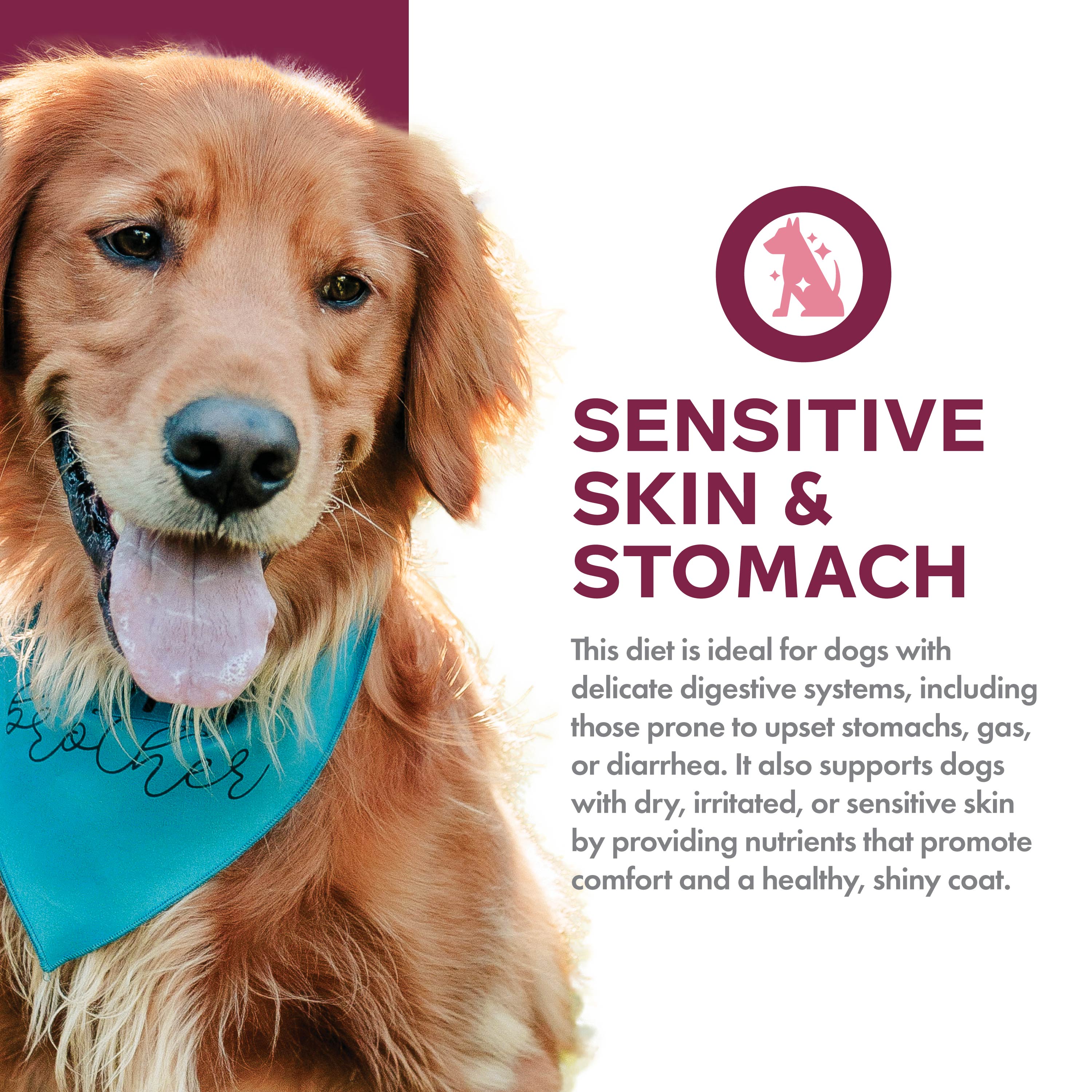 Fromm Nutritionals Sensitive Skin & Stomach Salmon & Whole Oats Dry Dog Food - Dog Food - Fromm - PetMax Canada