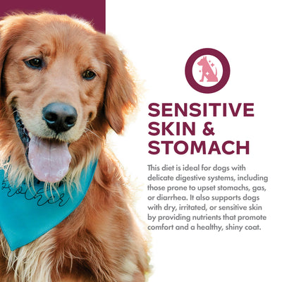 Fromm Nutritionals Sensitive Skin & Stomach Salmon & Whole Oats Dry Dog Food - Dog Food - Fromm - PetMax Canada