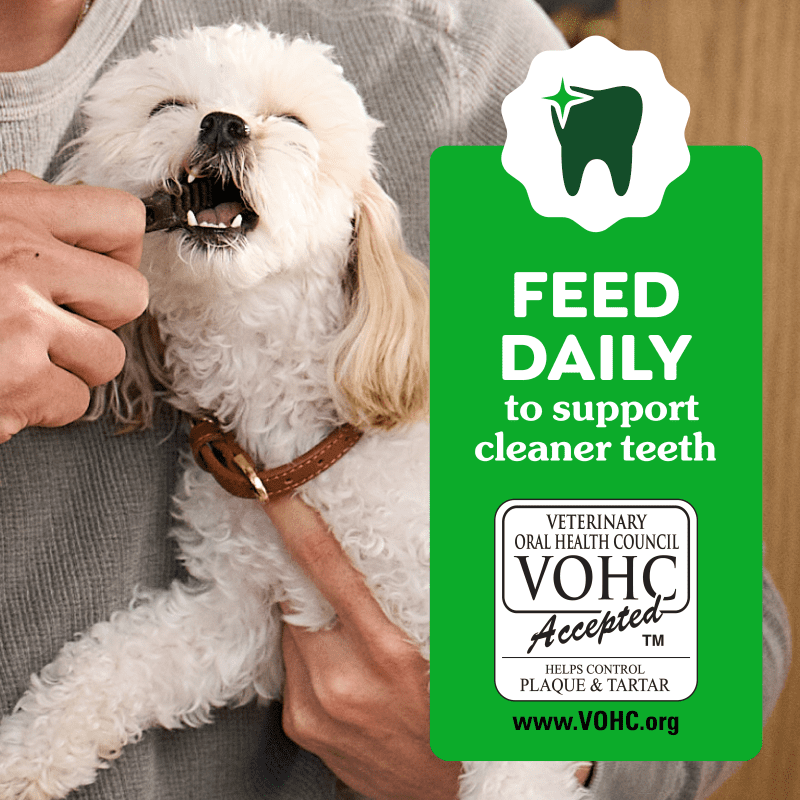 Greenies Puppy Teenie Dental Care Dog Treats - Feed daily for cleaner teeth, VOHC Accepted - PetMax Canada