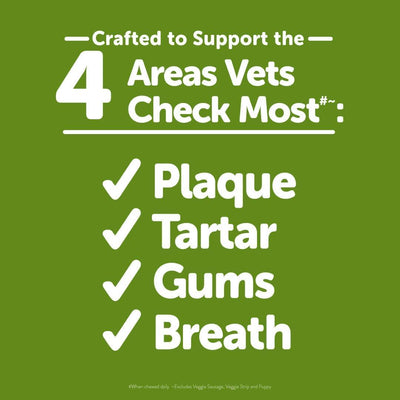 Whimzees Natural Grain Free Daily Dental Long Lasting Dog Treats Brushzees - X-Small - Natural Chews - Whimzees - PetMax Canada