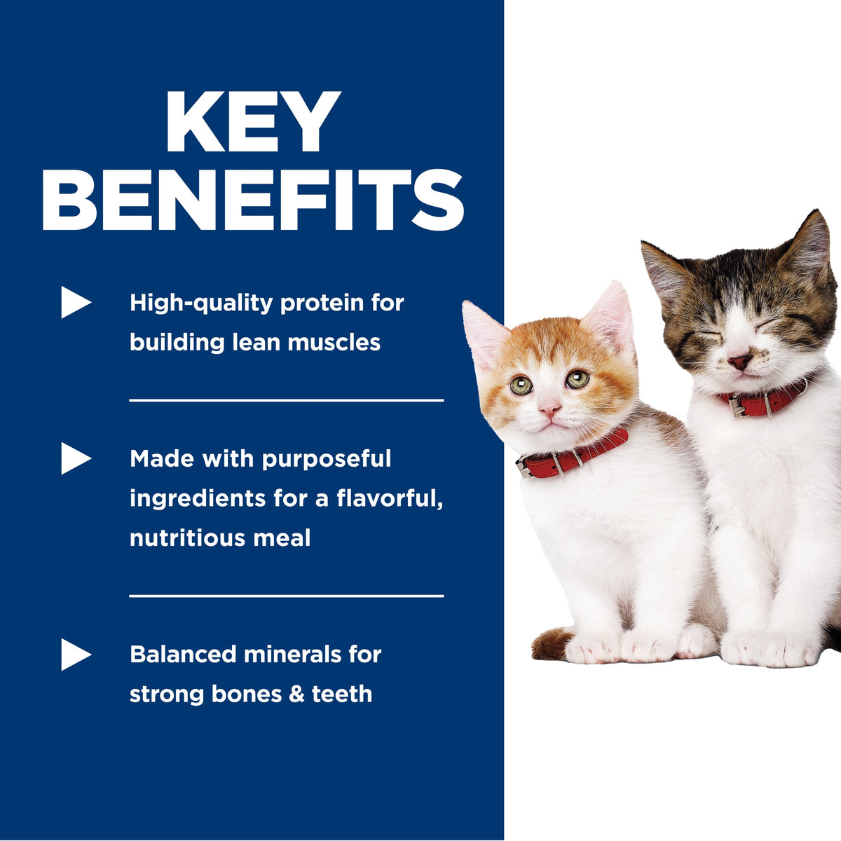 Hill's Science Diet Kitten Savory Salmon Entrée Canned Cat Food - Key benefits: protein, purposeful ingredients and balanced minerals - PetMax Canada