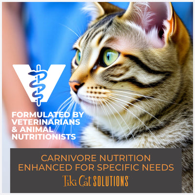 Tiki Cat Solutions Mousse Dental Chicken Recipe in Broth Wet Cat Food - Product Highlights 6 - Tiki Cat - PetMax Canada
