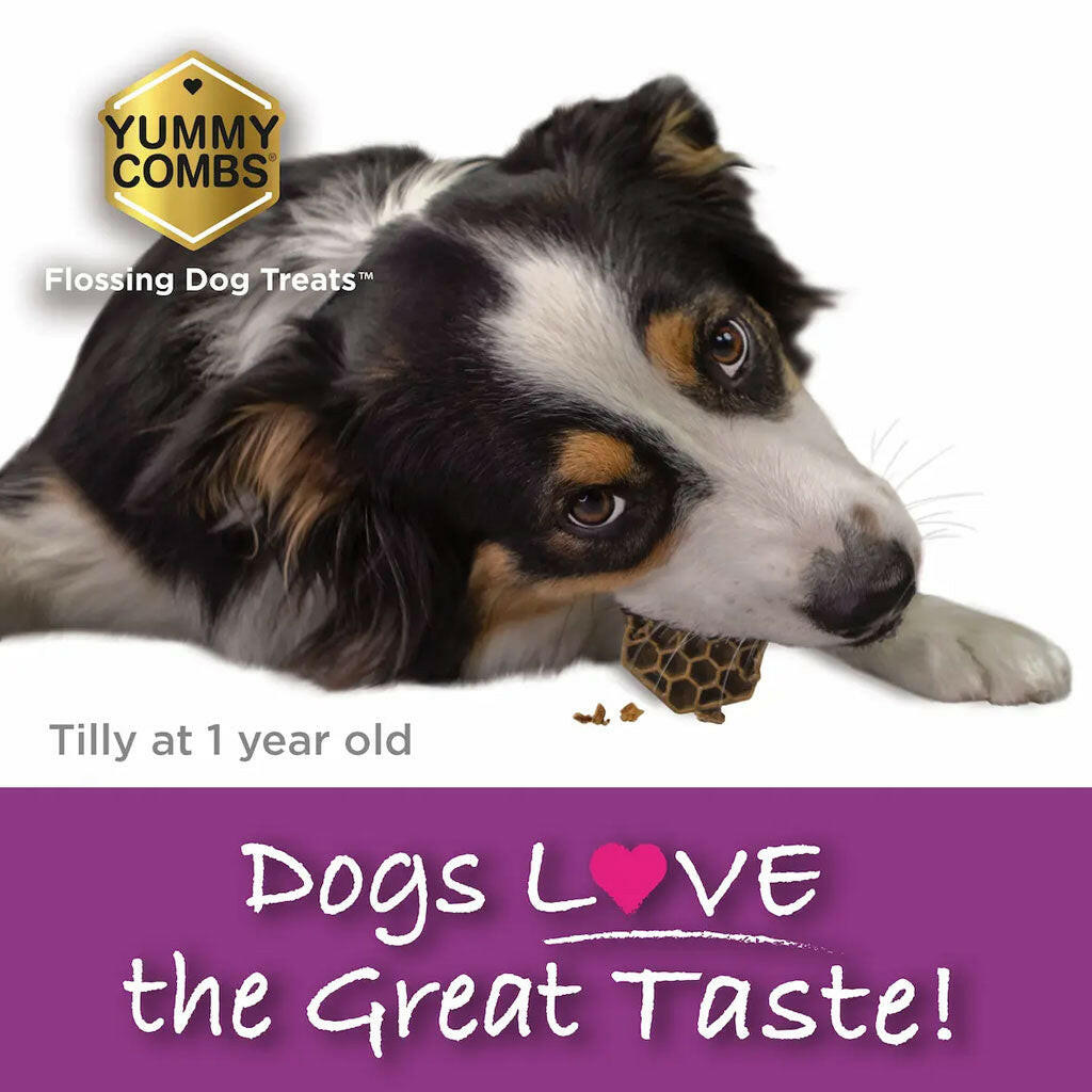 Yummy Combs Vet Approved Dental Fish & Egg Dog Treats - dog enjoying a Yummy Combs treat - PetMax Canada
