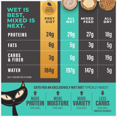 Tiki Cat Special Mousse Skin & Coat Salmon Recipe in Broth Wet Cat Food - Product Highlights 5 - Tiki Cat - PetMax Canada
