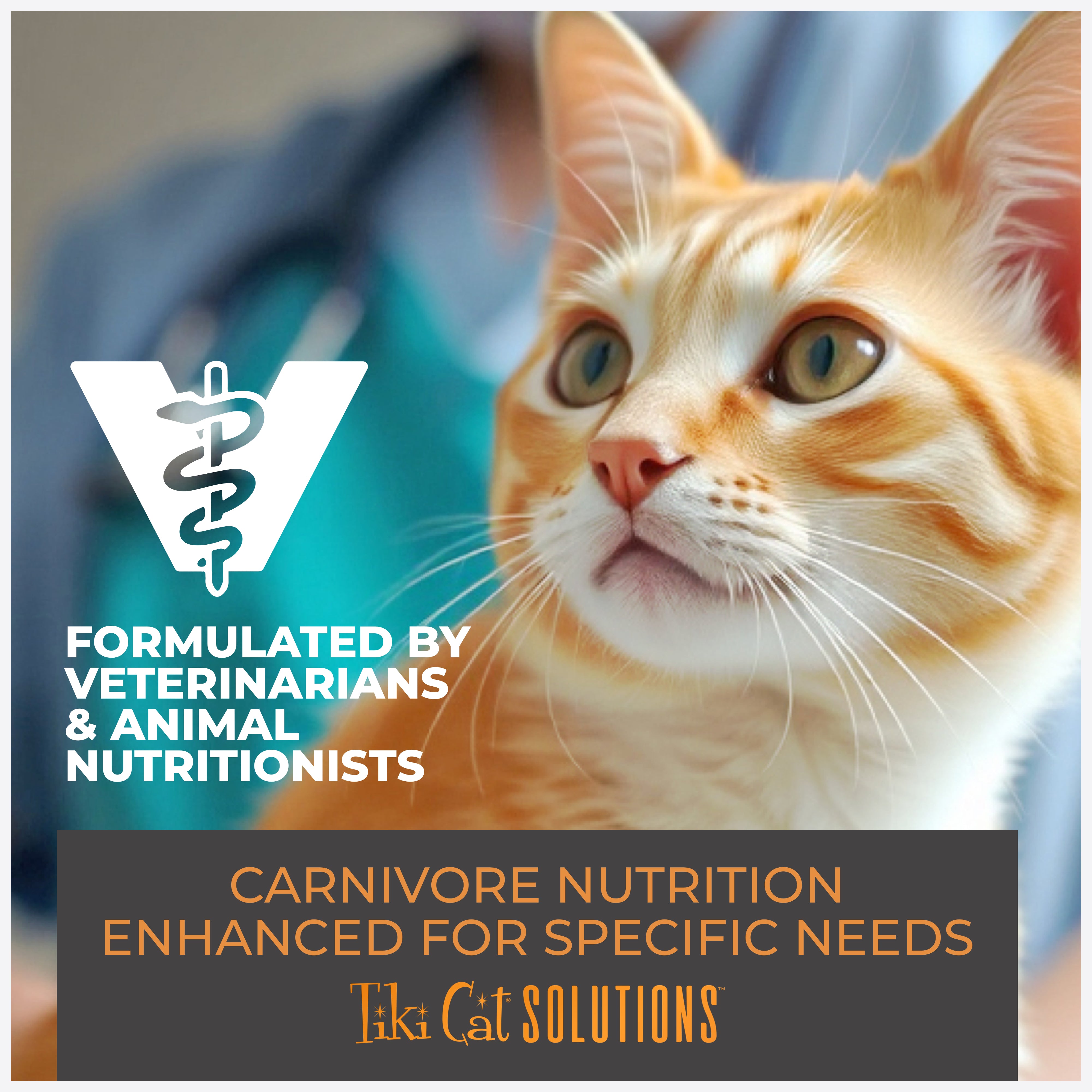 Tiki Cat Special Fussy with Duck Liver & Egg in Broth Wet Cat Food - Product Highlights 6 - Tiki Cat - PetMax Canada