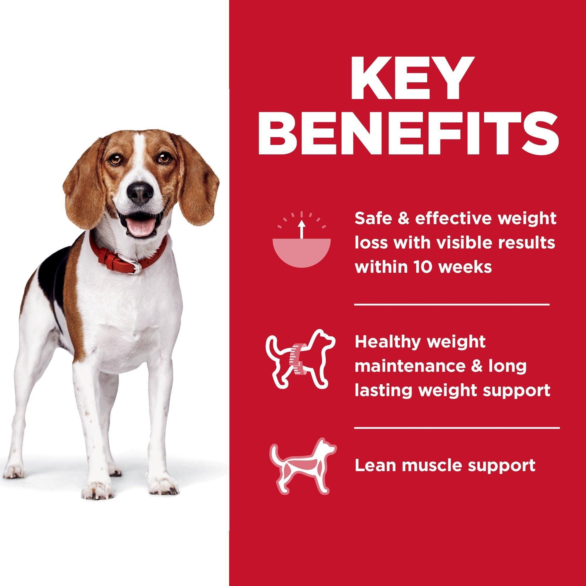 Hill's Science Diet Adult Perfect Weight Small Bites Dry Dog Food, Chicken Recipe - 1.8 Kg - Dog Food - Hill's Science Diet - PetMax Canada